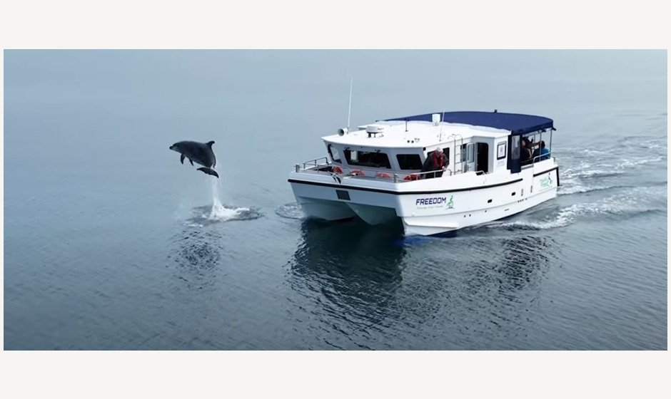 MV Freedom 