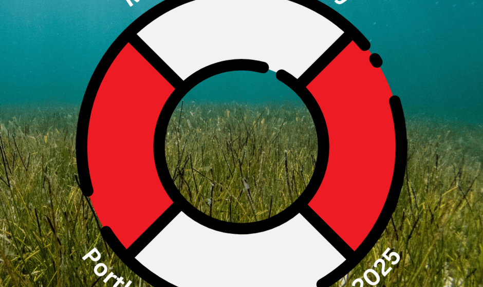 May Day Safety Day 5th May 2025 