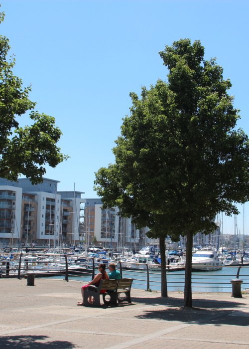 A warm welcome at Portishead marina 