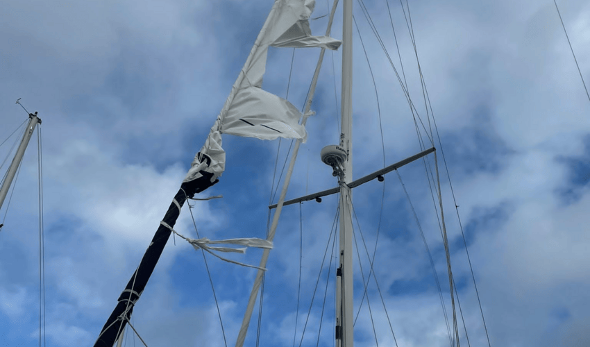 MicrosoftTeams image (49) 
