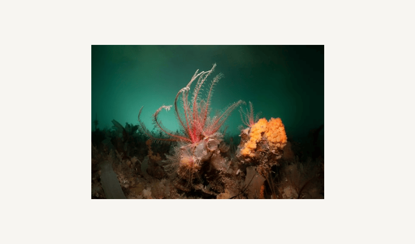 Screenshot 2025 11 04 141004 