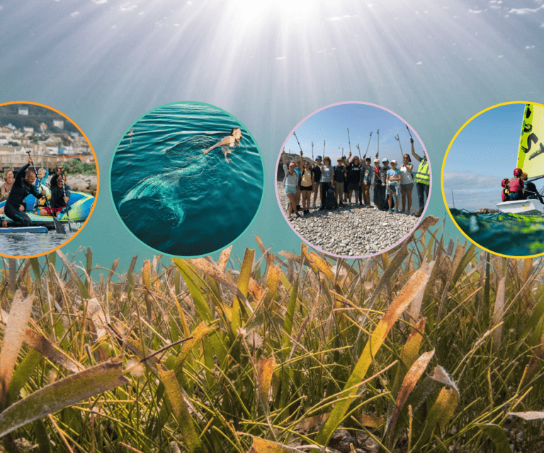 Website banner PW2024 