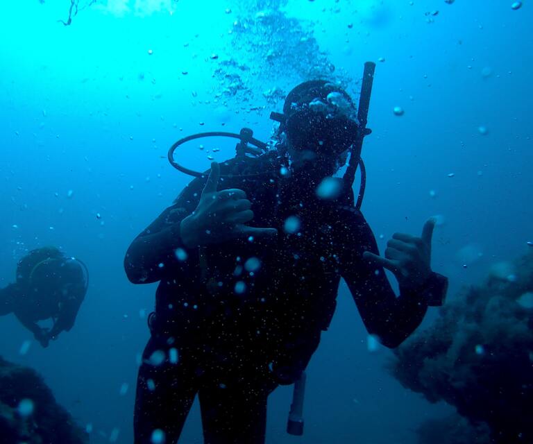 Diving hero for Portland