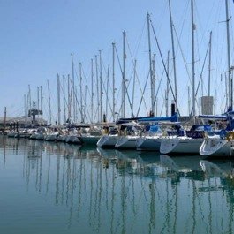 haslar marina 1 