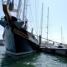 haslar ship marina 