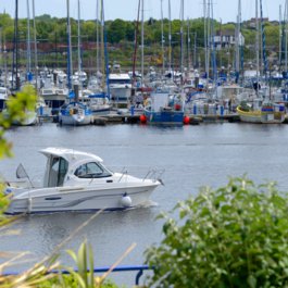 Royal Quays visiting