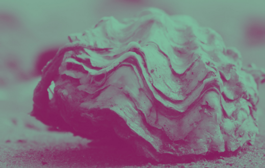 Bangor Oyster thumbnail 