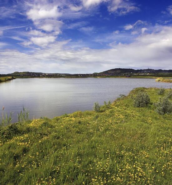 Nature Reserve at Conwy 