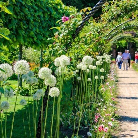 Bangor Castle Walled Garden 