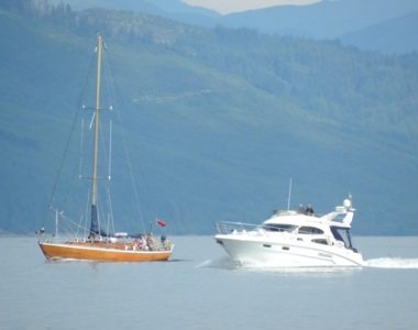 jaynor and White Orchid (002) 