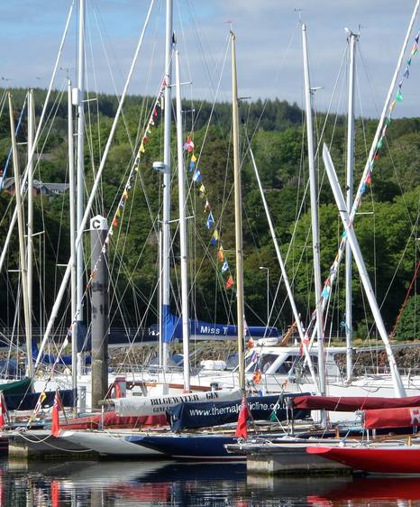 Boats at Rhu marina all dressed up and ready to go